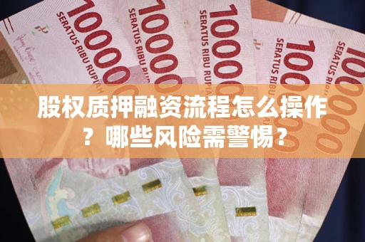 武汉股权质押融资流程怎么操作？哪些风险需警惕？