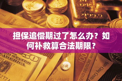 武汉担保追偿期过了怎么办？如何补救算合法期限？