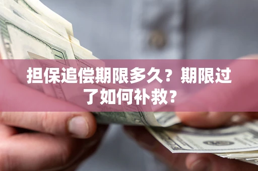 武汉担保追偿期限多久？期限过了如何补救？