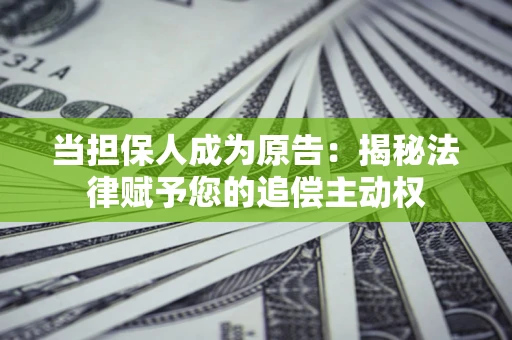 武汉当担保人成为原告：揭秘法律赋予您的追偿主动权