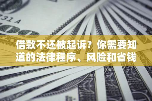武汉借款不还被起诉？你需要知道的法律程序、风险和省钱技巧